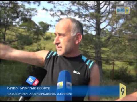 ავტოავარია გომი