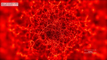 StePS Example Simulation #2, The Evolution of the Dark Matter in a Slice