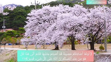 الاية ١٦٥ من سورة آل عمران بصوت الشيخ ايمن رشدي سويد surah al imran ayat 165 Ayman suwayd