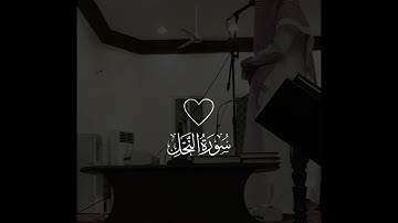 ما تيسر من سورة النحل | القارئ فيصل الهاجري