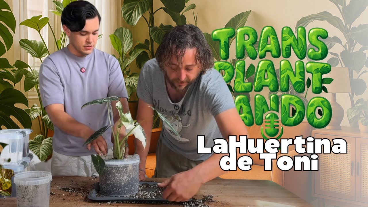 04Transplantando con @huertinadetoni | errores, huerto urbano y bosques comestibles 🌱