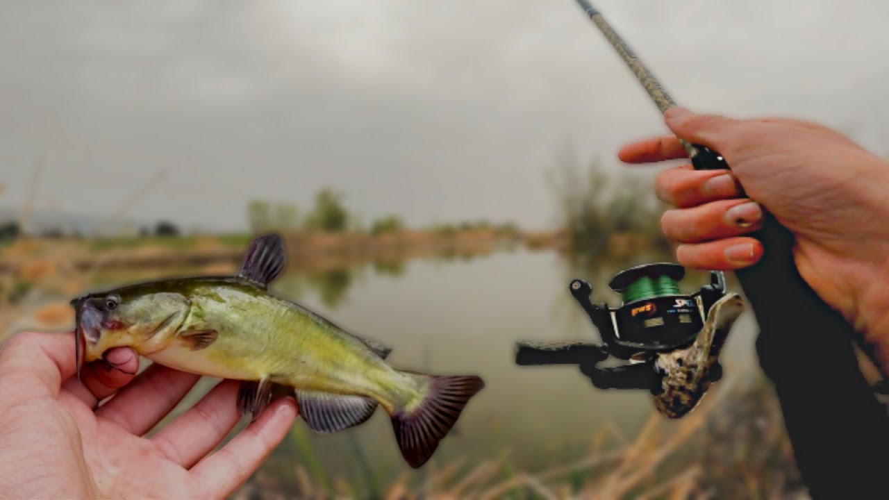 Bottom Fishing this MUDDY POND for WHATEVER will BITE!