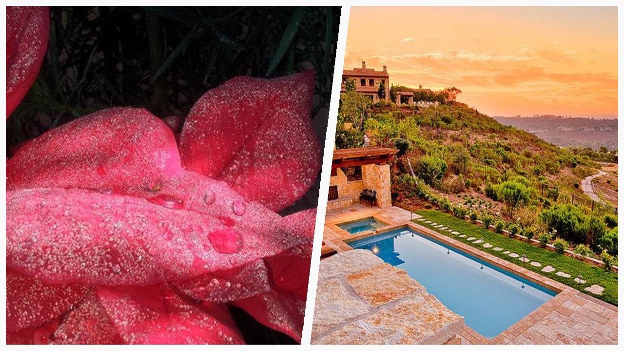 75 Pink Patio With No Cover Design Ideas You'll Love 😊