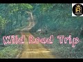 The Beginner's guide to Wild Trip | Dalma wild | West Bengol
