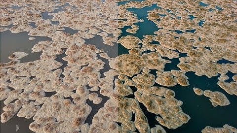 Adobe Lightroom 5 : Split Toning