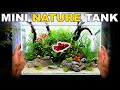 Making A Mini Betta Fish Nature Aquarium (Low Tech Aquascape Tutorial)