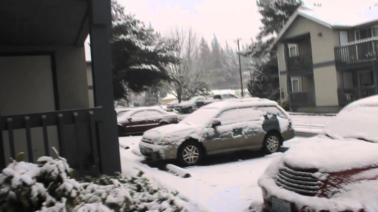 Snow! In Bellingham, WA YouTube