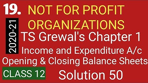 19. NPO: NOT FOR PROFIT ORGANIZATIONS: TS Grewal