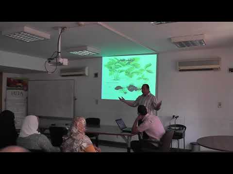 ندوة جمعية هيا في محصول الفراولة الدكتور محمد أمام كيفية إنتاج محصول فراولة قابل للتصدير