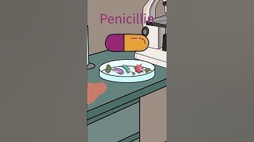 Penicillin Was a Total Accident #antibiotics #medicalhistory #shorts