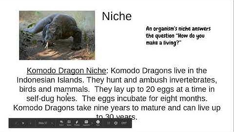 Ecological Interactions Part 1