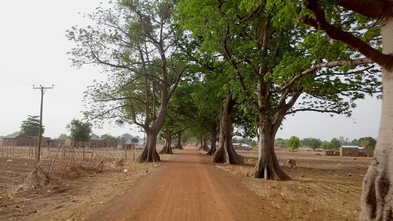 A Great Green Wall to fight desertification : Sustainable in Africa