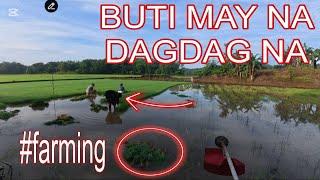 KUNTING TIYAGA PA MATATAPOS NA RIN
