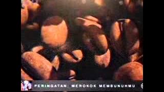 Download lagu RCTI Djarum Black Cappuccino 00 23