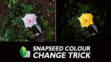 Snapseed Editing | How to change color of flower to another color
