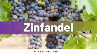 Zinfandel for WSET Level 3