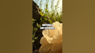 The Rise of Biodegradable Electronics