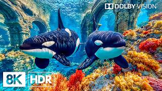 The Blue Underwater Realm | Exotic Reef Fish in 8K HDR | Dolby Vision™ screenshot 5