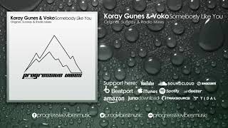 Koray Gunes & Voko - Somebody Like You [Progressive Vibes Light - PVM288L] Resimi