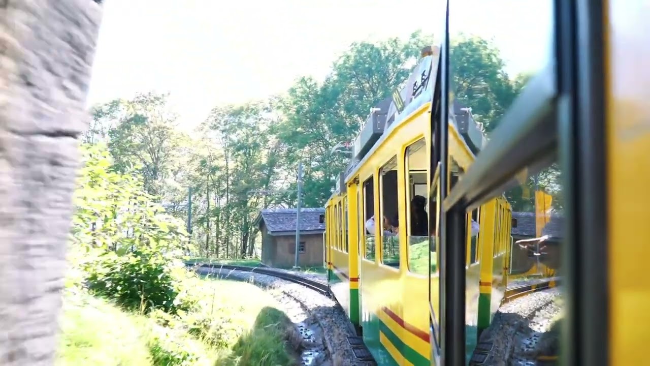 Marv's Super Bowl Adventure in the Rainbow Kingdom!