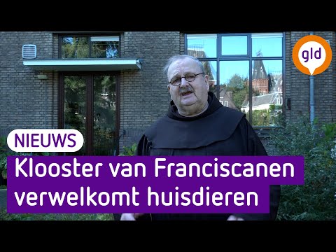 Video: Huisdieren Voor Mensen Met Allergieën