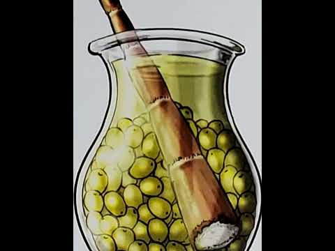 Shabbat Chapter 17 - Youtube