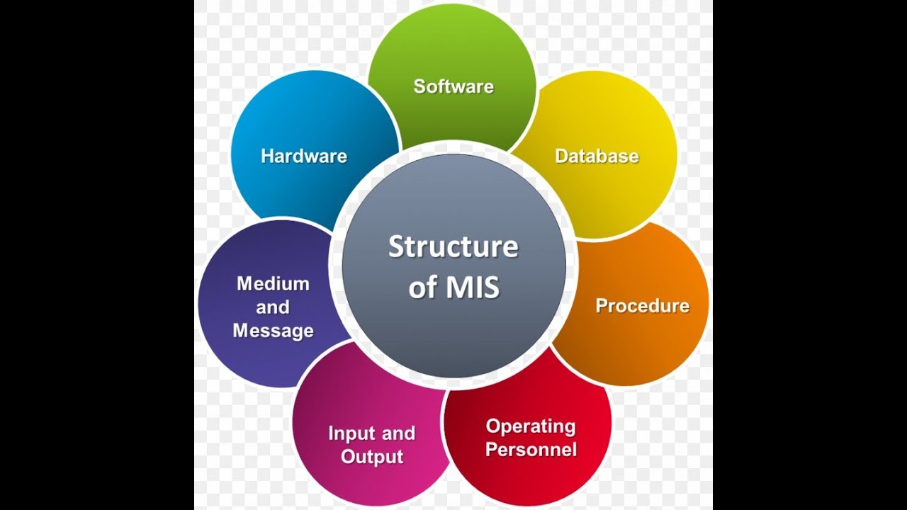 SY BMS ITBM 2 VLOG 2 Unit 1 - YouTube