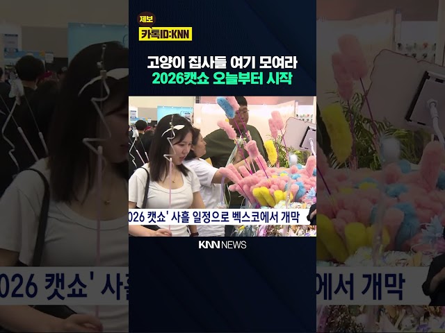 2026 캣쇼 사흘 일정으로 벡스코에서 개막 / KNN
