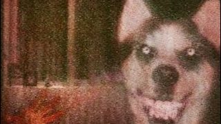 The Most Horrifying Thing Ive Ever Watched