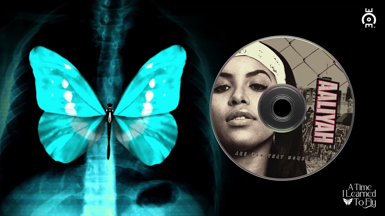 Aaliyah - Are You That Somebody (Let Me Hold You)