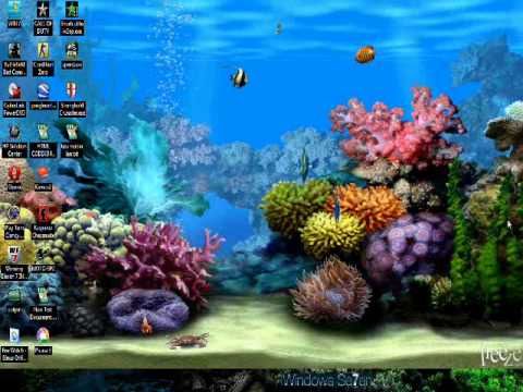 Wmv Screensaver Vista