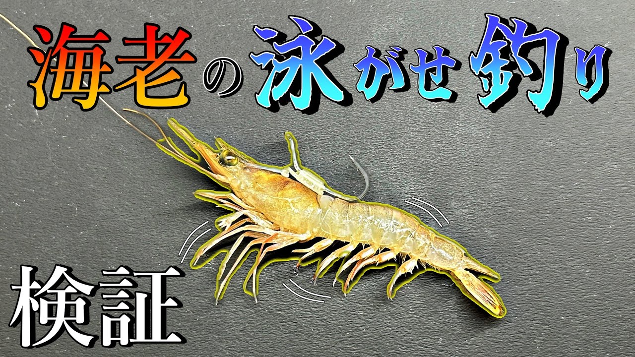 Guaranteed victory? I tried to catch sea bream using a bait