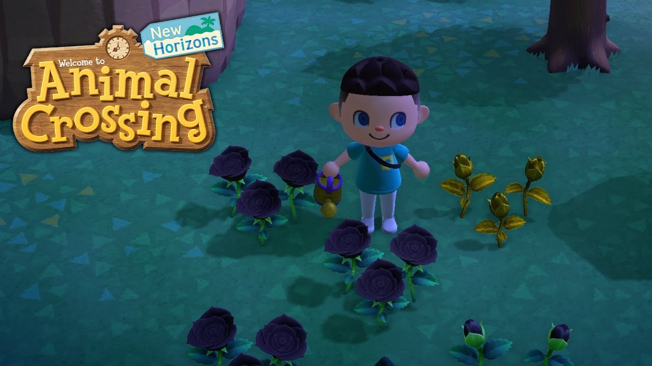 Goldene Rosen Animal Crossing New Leaf ES WUCHSEN GOLDENE ROSEN! • 260 🏝️ Let's Play Animal Crossing: New
