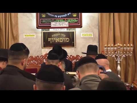 הרב בן ציון מוצפי  •  נר שמיני של חנוכה זאת חנוכה  •  פרשת מקץ טבת תשפ"ד