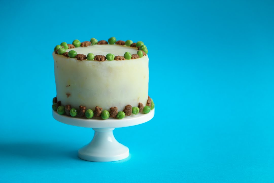 Cómo hacer un Pastel para tu Mascota ♥ Chokolat Pimienta