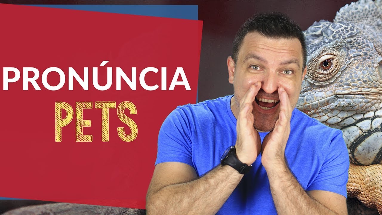 ingles online de graça NOMES QUE ATÉ PROFESSORES ERRAM A PRONÚNCIA - Animais de estimação