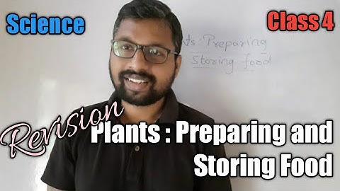 Class 4 | Chapter 6 | Plants : Preparing and Storing Food (Revision)