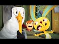Endangered Species Shorts - Welcome to the Stump