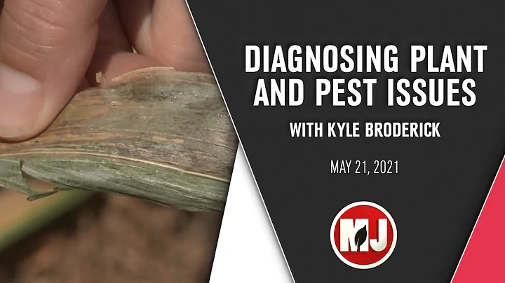 Diagnosing Plant and Pest Issues | Kyle Broderick ...
