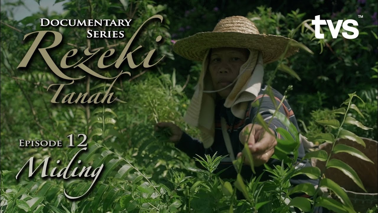 Rezeki Tanah - Episode 12 (Miding)