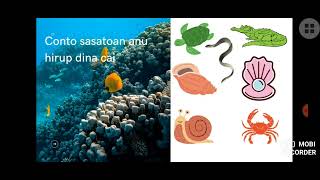 SASATOAN JEUNG TUTUWUHAN
