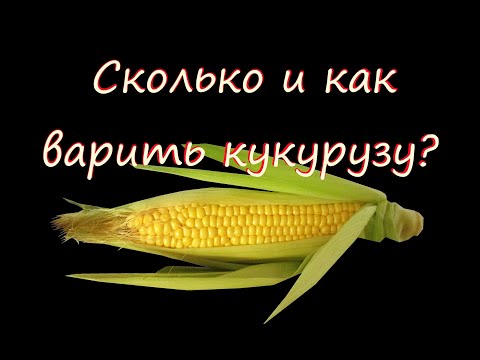 Сколько и как варить кукурузу. Советы Шеф повара.