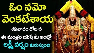 ఓం నమో వెంకటేశాయ నమః | Om Namo Venkatesaya Namaha 108 Times || Shri Tv Om screenshot 5