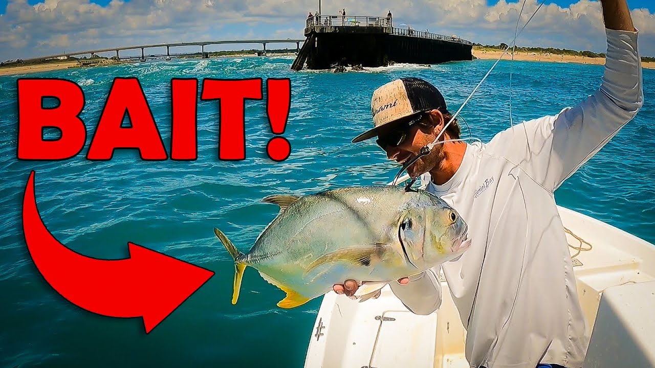 Fish heads bait and tackle aposong