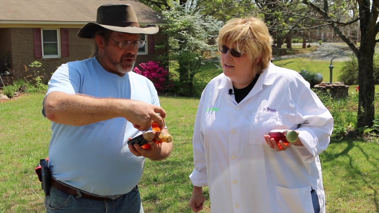 The Bees Virtual Field Trip - YouTube