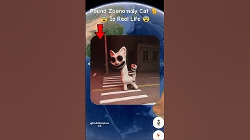🔥 I Found Zoonomaly Cat 😺 in real life On Google Earth 🌎! #shorts #earth #maps #trending