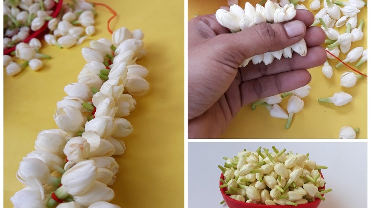 Simple trick to tie jasmine flower Easyaga malli poo kattuvathu
