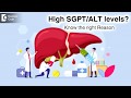 Watch your liver values high sgptalt levels causes  treatment dr ravindra b s doctors circle