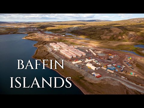 Explore The Unique Wildlife Of Baffin Island!