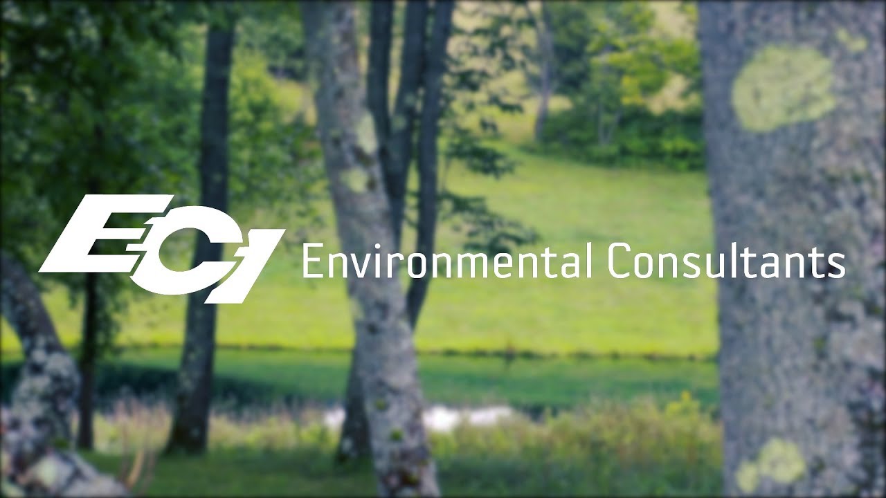 ECI Safety as a Value YouTube